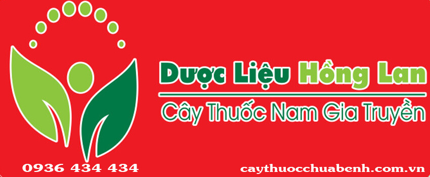 LOGO CONG TY TNHH DUOC LIEU HONG LAN