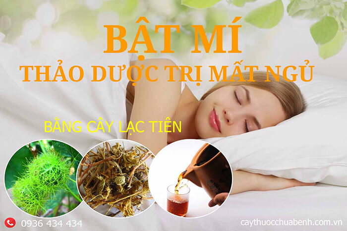 Cây Lạc Tiên –  Chuyên trị bệnh mất ngủ cực hiệu quả