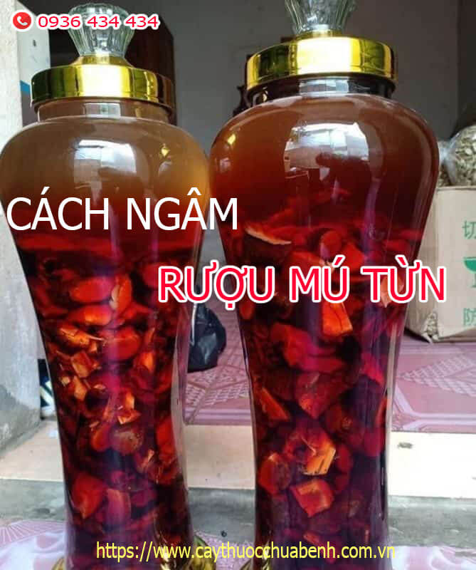 MUA BÁN SỈ VÀ LẺ RỄ CÂY MÚ TỪN KHÔ GIÁ TỪ 69.000Đ/KG TÁC DỤNG CỦ MÚ MỪN ĐẶC TRỊ YẾU SINH LÝ VÀ LIỆT DƯƠNG, ĐỊA CHỈ BÁN, GIÁ BÁN?