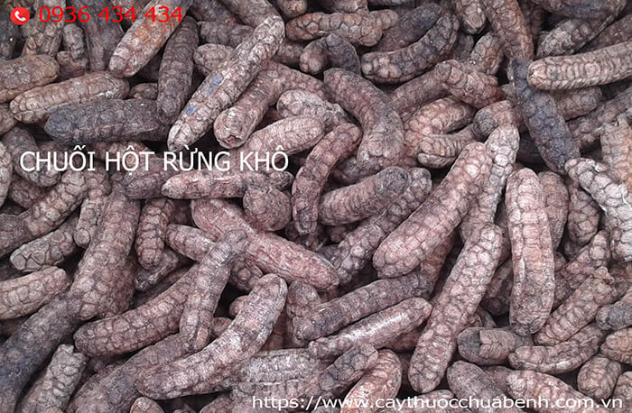 Chuối Hột Rừng khô