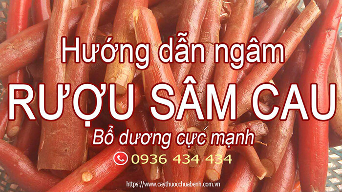 Cách ngâm rượu sâm cau