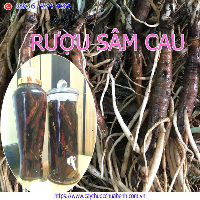 Tác dụng của rượu sâm cau