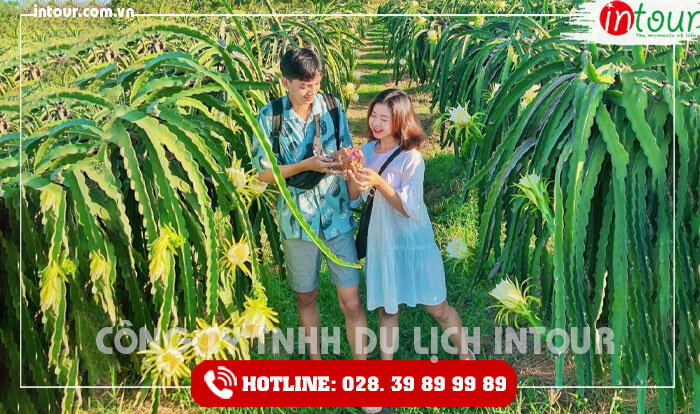 Cẩm Nang Du Lịch Biển Phan Thiết - Mũi Né - Bình Thuận - Những điều bạn nên biết khi đi du lịch Phan Thiết - Mũi Né