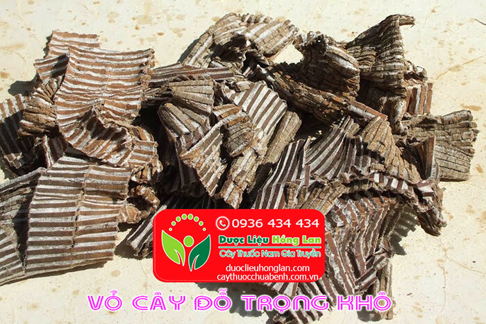 VO-CAY-DO-TRONG-KHO-CTY-DUOC-LIEU-HONG-LAN