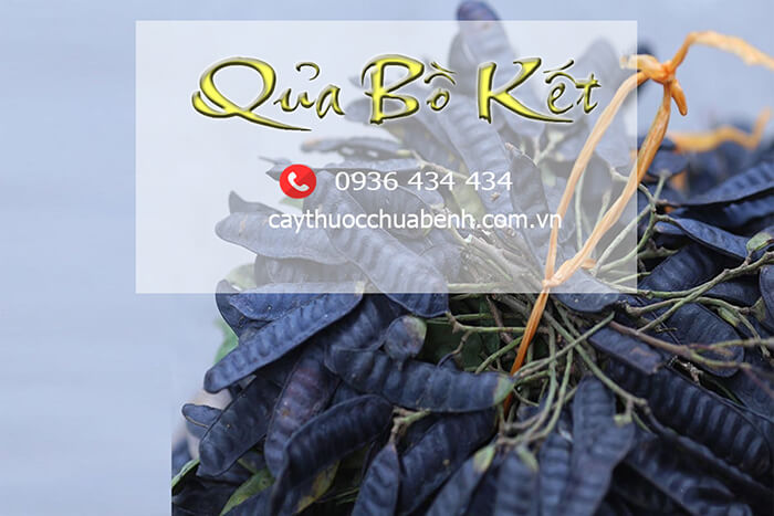 QUA_BO_KET_KHO01