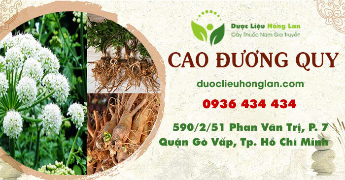 cao-thuoc-thao-duoc-duong-quy-duoclieuhonglan