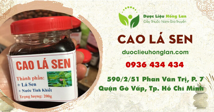 cao-thuoc-la-sen-duoclieuhonglan