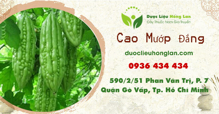 cao_thuoc_muop_dang_kho_qua_duoclieuhonglan