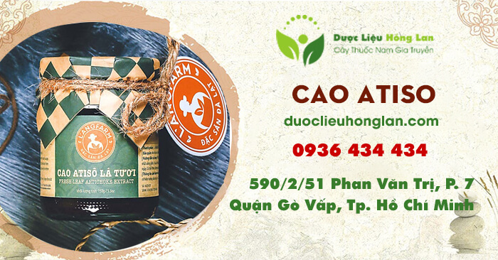 cao-thuoc-atiso-duoclieuhonglan