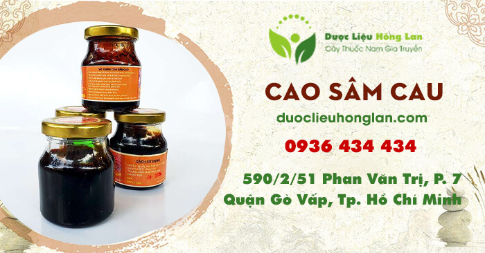 cao-thuoc-sam-cau-duoclieuhonglan