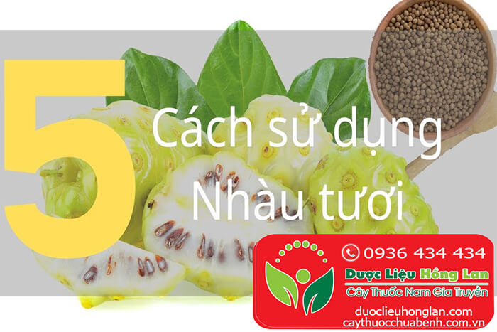 Quả (Trái) Nhàu giá bao nhiêu tiền 1kg