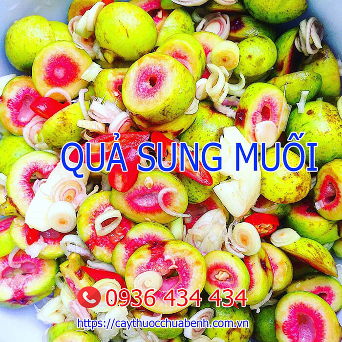 Muối quả sung