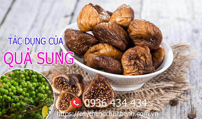 TÁC DỤNG CỦA QUẢ SUNG