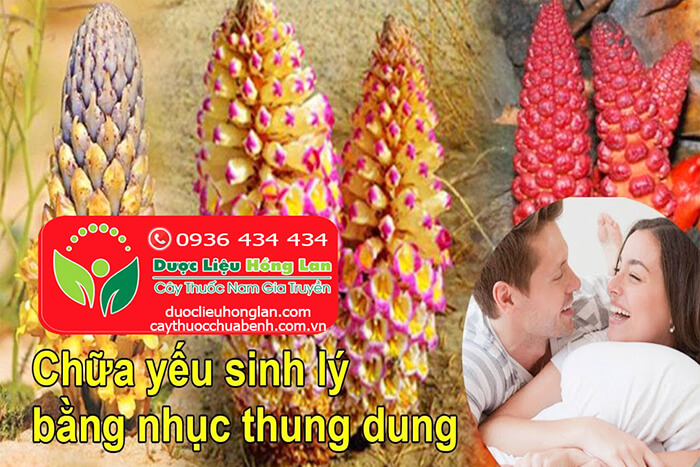 CONG_DUNG_CACH_DUNG_NHUC_THUNG_DUNG_DUOC_LIEU_HONG_LAN