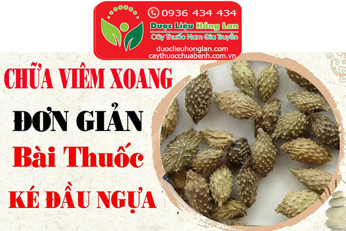 CHUA-BENH-VIEM-XOANG-TU-KE-DAU-NGUA-CTY-DUOC-LIEU-HONG-LAN