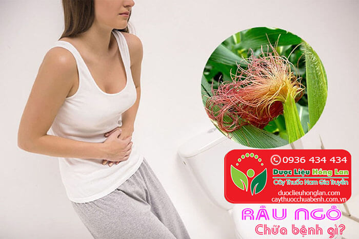 RÂU NGÔ KHÔ GIÁ TỪ 68.000Đ/1KG, RÂU NGÔ CÓ TÁC DỤNG GÌ?, CÔNG DỤNG CÁCH DÙNG LIỀU DÙNG RÂU NGÔ, GIÁ BÁN RÂU NGÔ ĐỎ, ĐỊA CHỈ CÔNG TY MUA BÁN SỈ & LẺ ĐẦU NGUỒN RÂU NGÔ KHÔ UY TÍN TẠI TP.HCM/HÀ NỘI?