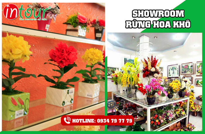 Showroom Hoa Khô