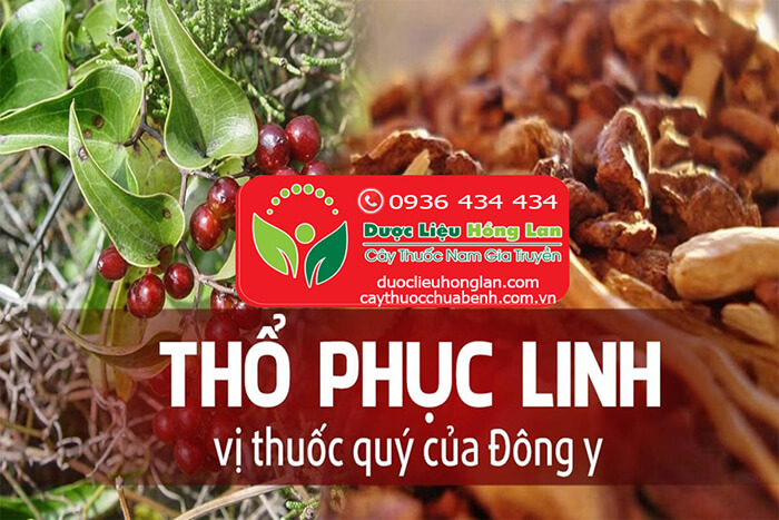 MUA_BAN_THO_PHUC_LINH_KHO_DUOC_LIEU_HONG_LAN