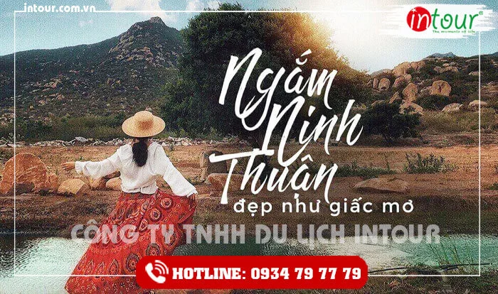Tour Teambuilding Bình Dương đi Ninh Chữ - Vĩnh Hy