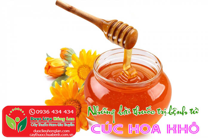 BAI-THUOC-CHUA-BENH-TU-TRA-CUC-HOA-CTY-DUOC-LIEU-HONG-LAN