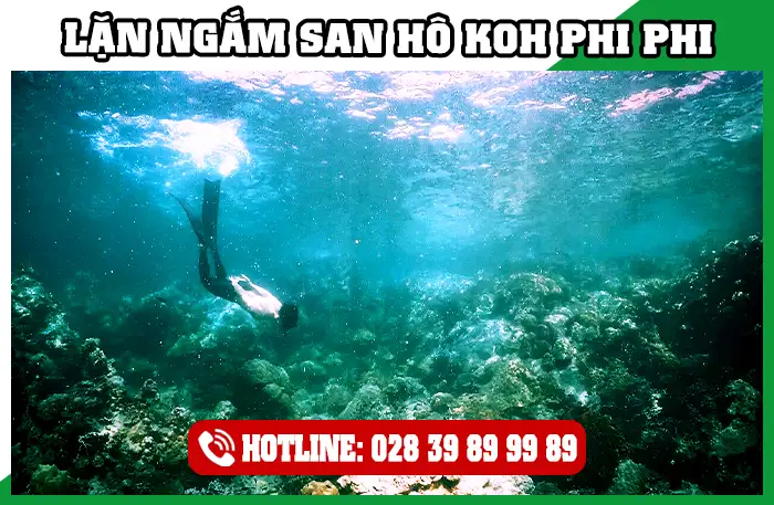 Lặn Ngắm San Hô Koh Phi Phi Thái Lan