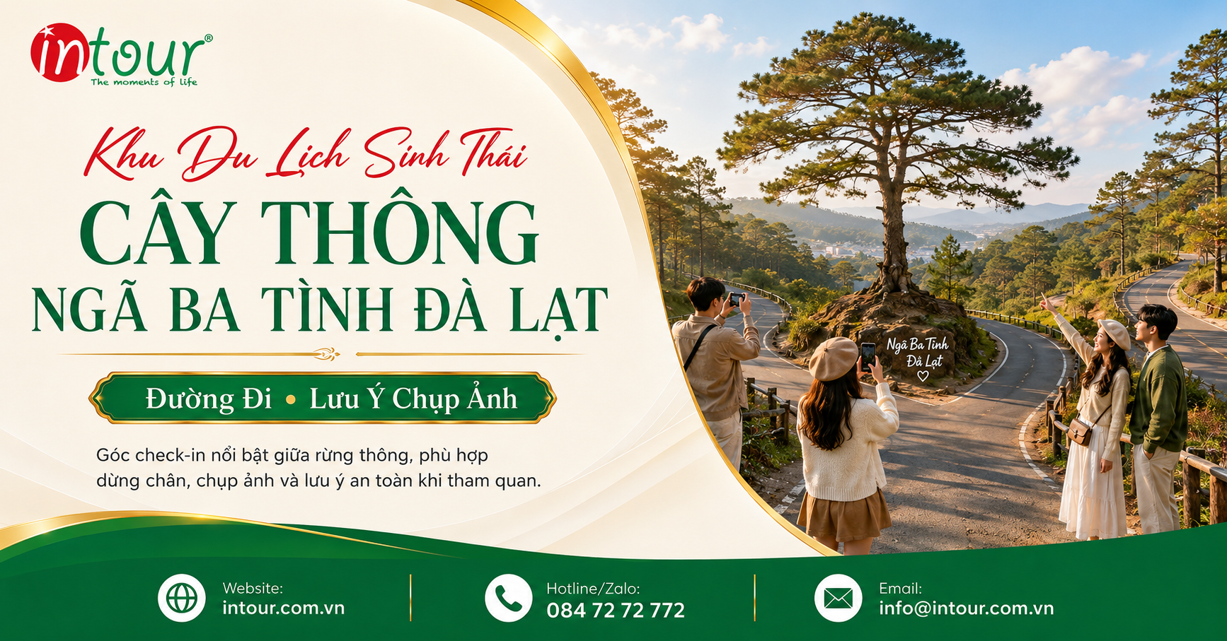 Cây Thông Ngã Ba Tình Đà Lạt: Góc Chụp Nhỏ Trên Tuyến Ankroet – Suối Vàng Cây Thông Ngã Ba Tình Đà Lạt: Góc Chụp Nhỏ Trên Tuyến Ankroet – Suối Vàng