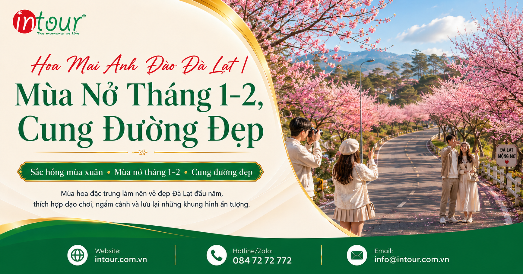 Hoa Mai Anh Đào Đà Lạt: Mùa Nở, Cung Đường Đẹp Và Kinh Nghiệm Đi Chụp Ảnh