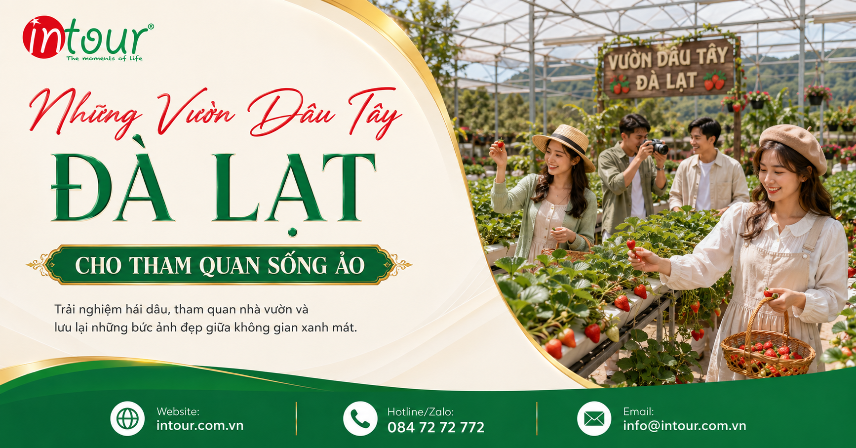 Vườn Dâu Đà Lạt: Mùa Dâu, Kinh Nghiệm Hái Dâu Và Lưu Ý Khi Tham Quan Vườn Dâu Đà Lạt: Mùa Dâu, Kinh Nghiệm Hái Dâu Và Lưu Ý Khi Tham Quan