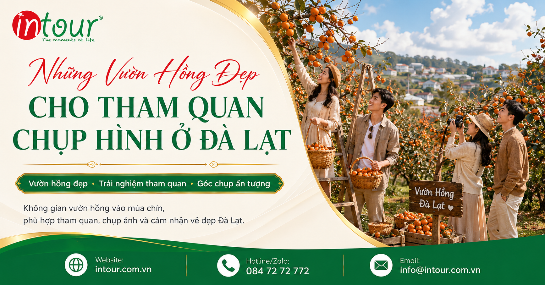 Vườn Hồng Đà Lạt: Mùa Hồng Chín, Điểm Chụp Ảnh Đẹp Và Kinh Nghiệm Mua Hồng Vườn Hồng Đà Lạt: Mùa Hồng Chín, Điểm Chụp Ảnh Đẹp Và Kinh Nghiệm Mua Hồng