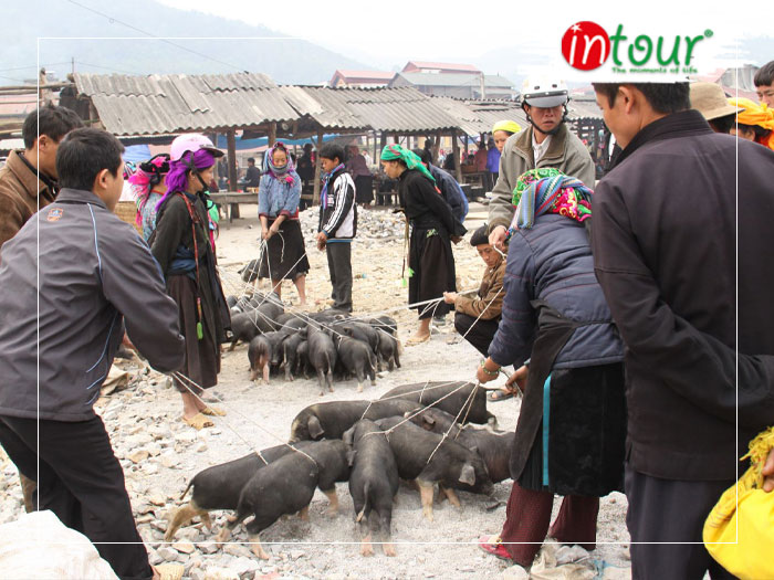 TOP 20+ Món Ăn Ngon Đặc Sản Lào Cai Bạn Phải Thử Năm 2024