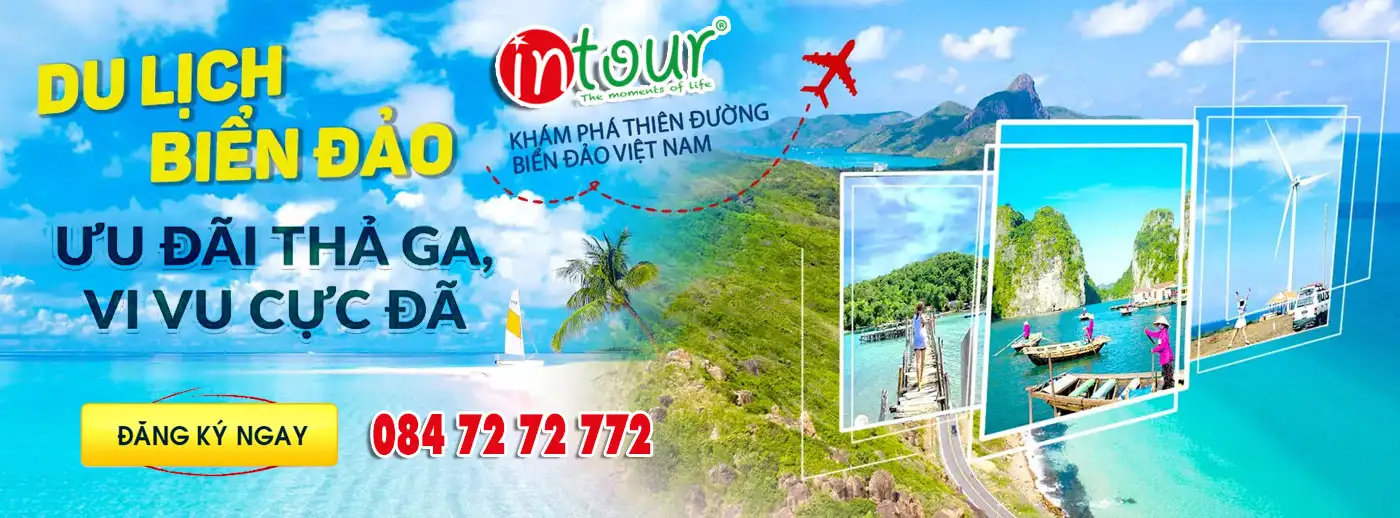 Hình ảnh 0