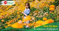 Tour Du Lịch Hà Nội Phan Thiết Đà Lạt 4 Ngày 3 Đêm Bằng Máy Bay