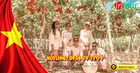Du Lịch Lễ 30/4/2026: Tour Ninh Chữ - Vĩnh Hy 3 Ngày 2 Đêm