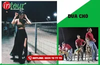 Tour Du Lịch Vũng Tàu 2 Ngày 2 Đêm Kết Hợp Team Building - Gala Dinner 2026