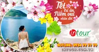 Du Lịch Tết 2026: Tour Côn Đảo 3 Ngày 2 Đêm