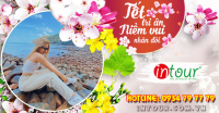 Du lịch Tết 2024: Tour Nha Trang - Đà Lạt 4 Ngày 4 Đêm