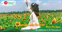 Tour Du Lịch Hà Nội Quy Nhơn 4 Ngày 3 Đêm Bằng Máy Bay