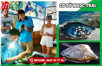 Tour Long Hải Khởi Hành Từ Sóc Trăng Trọn Gói Cho Công Ty, Gia Đình
