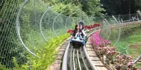 Du Lịch Tết 2026: Tour Đà Nẵng - Huế - Động Phong Nha 4 Ngày 3 Đêm