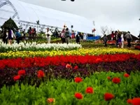 Du Lịch Tết 2026: Tour Đà Nẵng - Huế - Động Thiên Đường 4 Ngày 3 Đêm