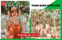 Tour Ninh Chữ Vĩnh Hy Khởi Hành Từ Bình Dương Trọn Gói, Biển Đẹp