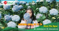 Tour Ninh Chữ Vĩnh Hy Khởi Hành Từ Kiên Giang Trọn Gói