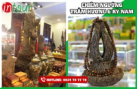 Tour du lịch giá rẻ Nha Trang khởi hành từ Miền Bắc 1.990.000Đ (4 ngày 3 đêm)