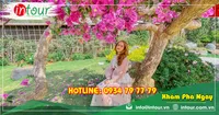 Tour Đà Nẵng Khởi Hành Từ Đồng Tháp Trọn Gói Cho Công Ty, Gia Đình