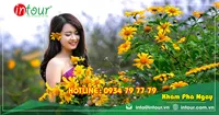 Tour Nha Trang Đà Lạt 3 Ngày 2 Đêm Trọn Gói Năm 2026