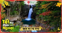 Du Lịch Tết 2026: Tour Nhật Bản 7 Ngày 6 Đêm