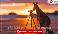 Du Lịch Tết 2026: Tour Úc 6 Ngày 5 Đêm