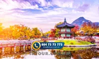 Tour du lịch Hàn Quốc 6 Ngày 5 Đêm: Busan - Daegu - Seoul