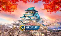 Tour du lịch Nhật Bản 4 Ngày 4 Đêm Đi Từ Đà Nẵng: Tokyo - Fuju - Yamanashi