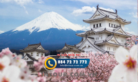 Tour du lịch Nhật Bản 6 Ngày 6 Đêm: Disneyland - Tokyo - Kyoto - Yamanashi - Osaka